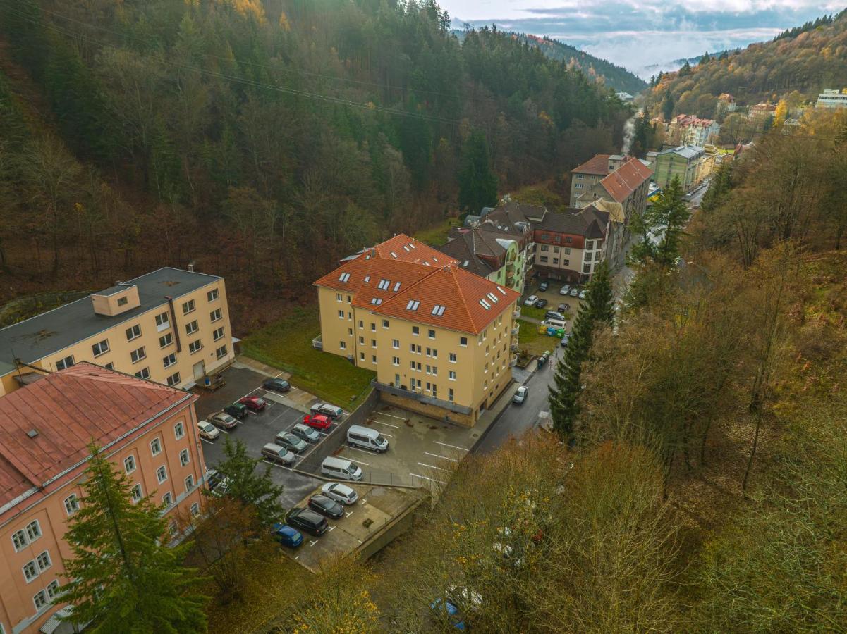 Forest Apartment With Sauna Jáchymov Kültér fotó